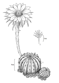 7110