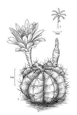 7120