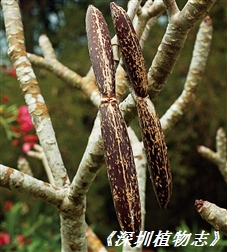 1998