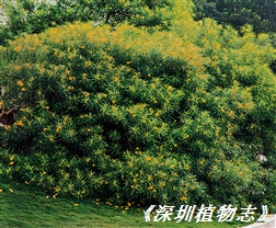 2001