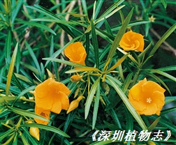 2001