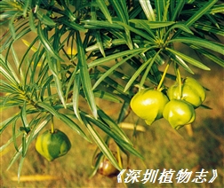 2001