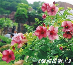 2010