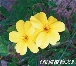 2201
