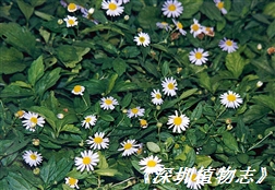 2514