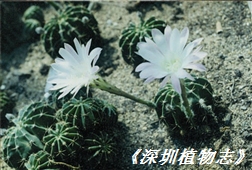 7110