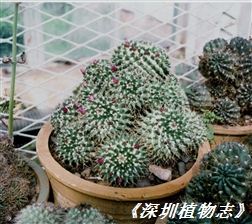 7124