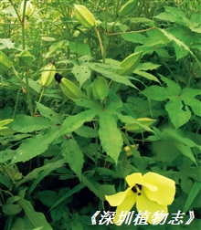 82