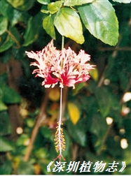85